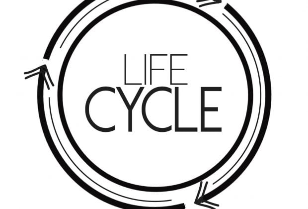 The Life Cycle of an Estate 9