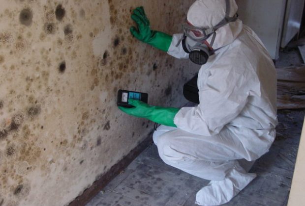 TIPS TO GET A MOLD INSPECTION 4