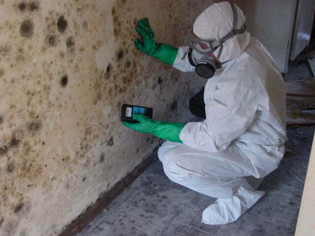 TIPS TO GET A MOLD INSPECTION 5